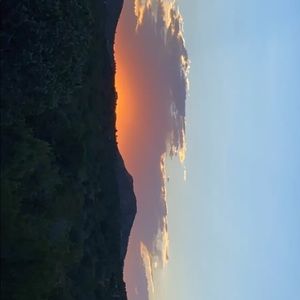 Meet your Posher, Tacy